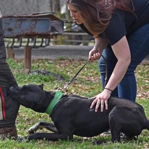 Meet your Posher, Mariah